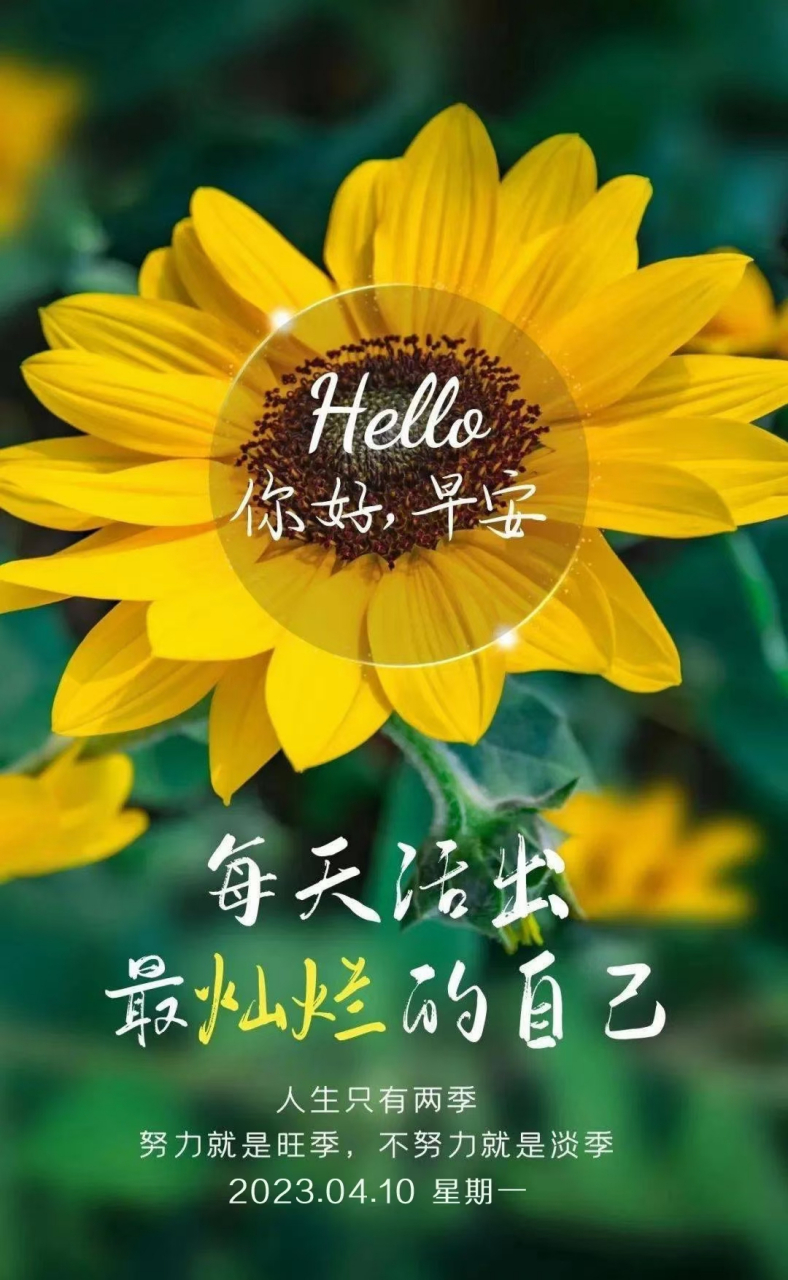 心存阳光必有美好时光,心中有爱何惧苦闷人生,每天的太阳都是新的,不