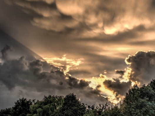 neither nor的用法及就近原则