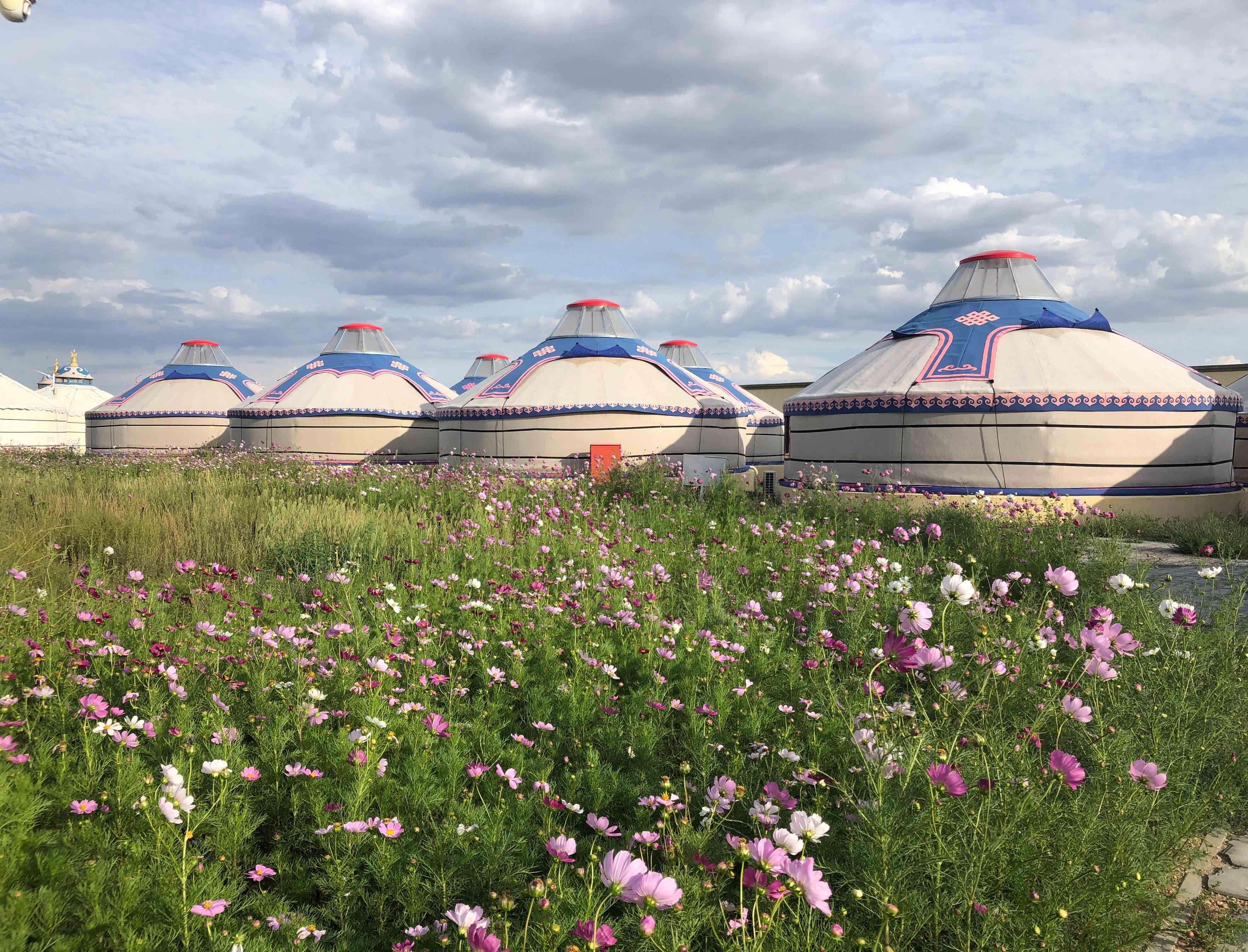 美丽的内蒙古诗画草原