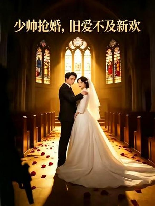 少帅抢婚，旧爱不及新欢封面图