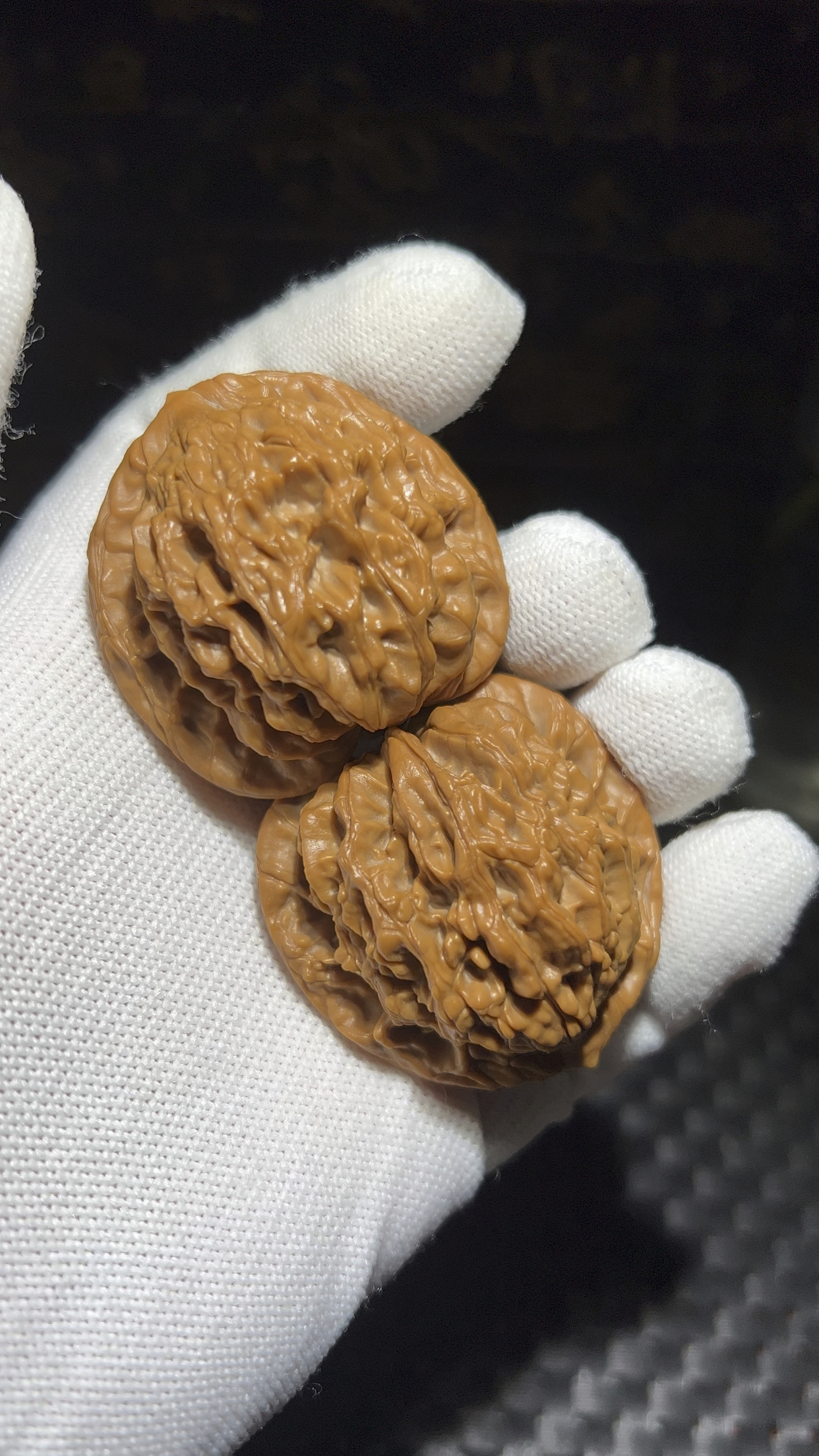 原生态老树麦虎