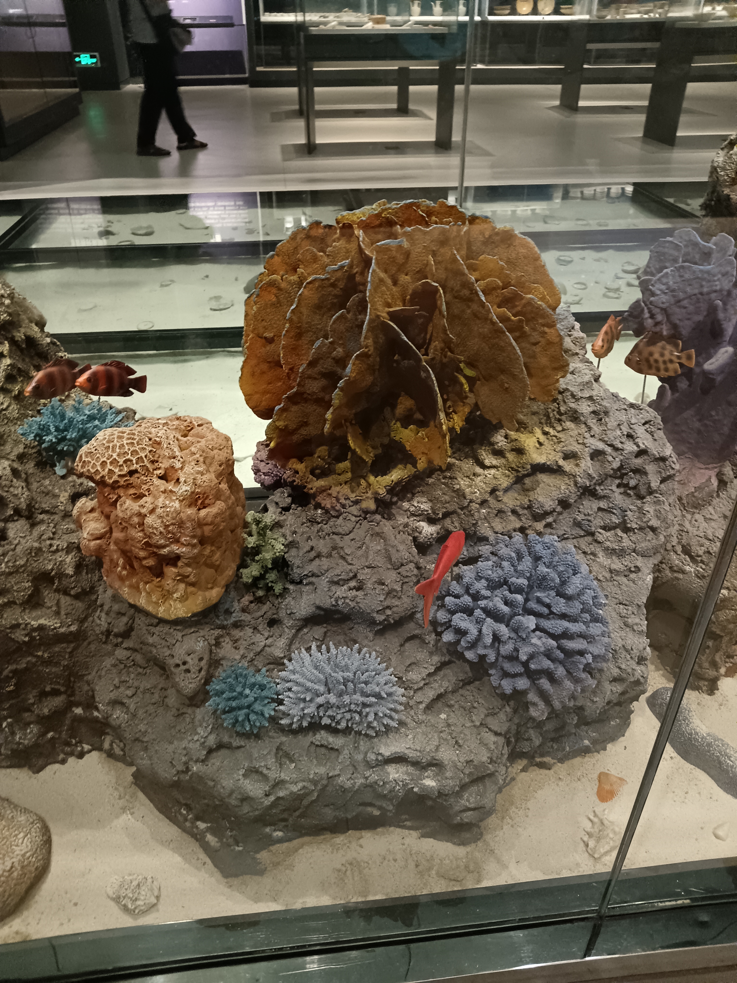 海南省博物馆海捞瓷文物展