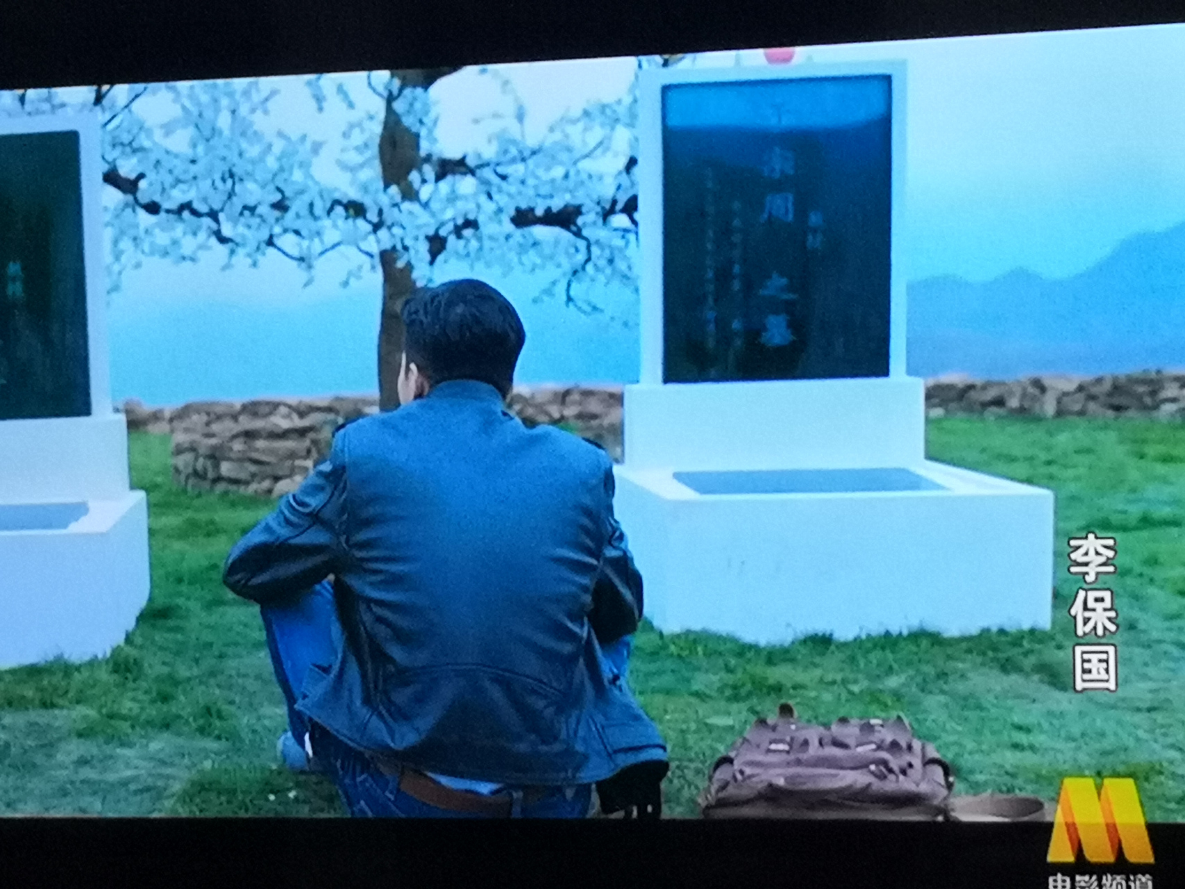 观电影《李保国》,让我深有感触,感触最深就是国内的专家也好,学者