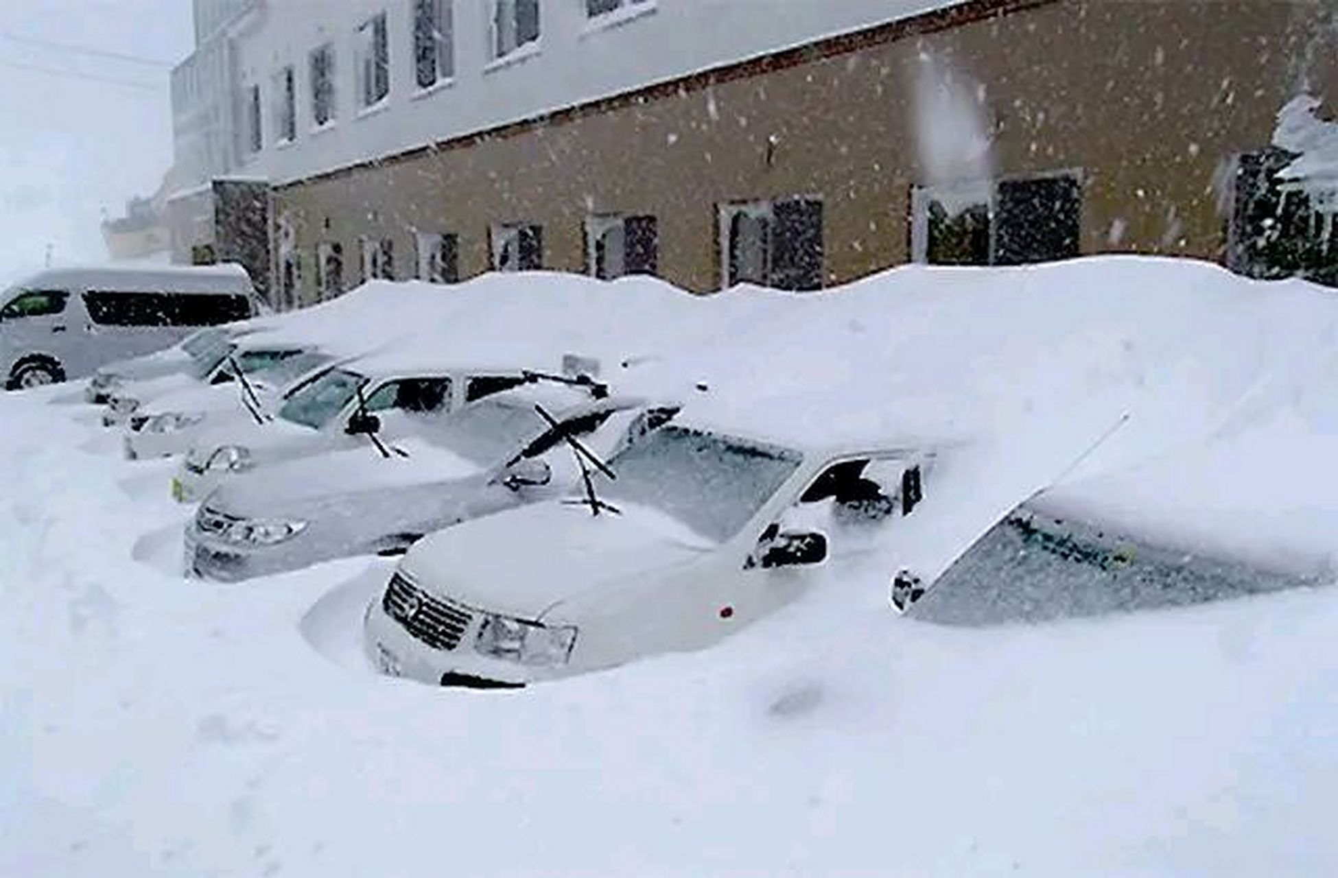 黑龙江省遭遇了一场罕见的大暴雪,这场暴雪也让我姐姐揭开了她和丈夫