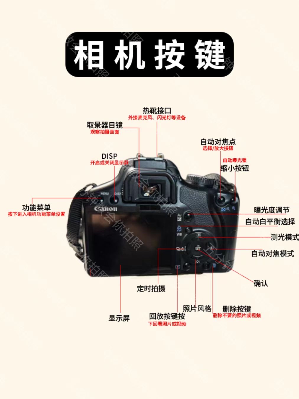 佳能450d操作界面:卓越性能的入门级单反相机