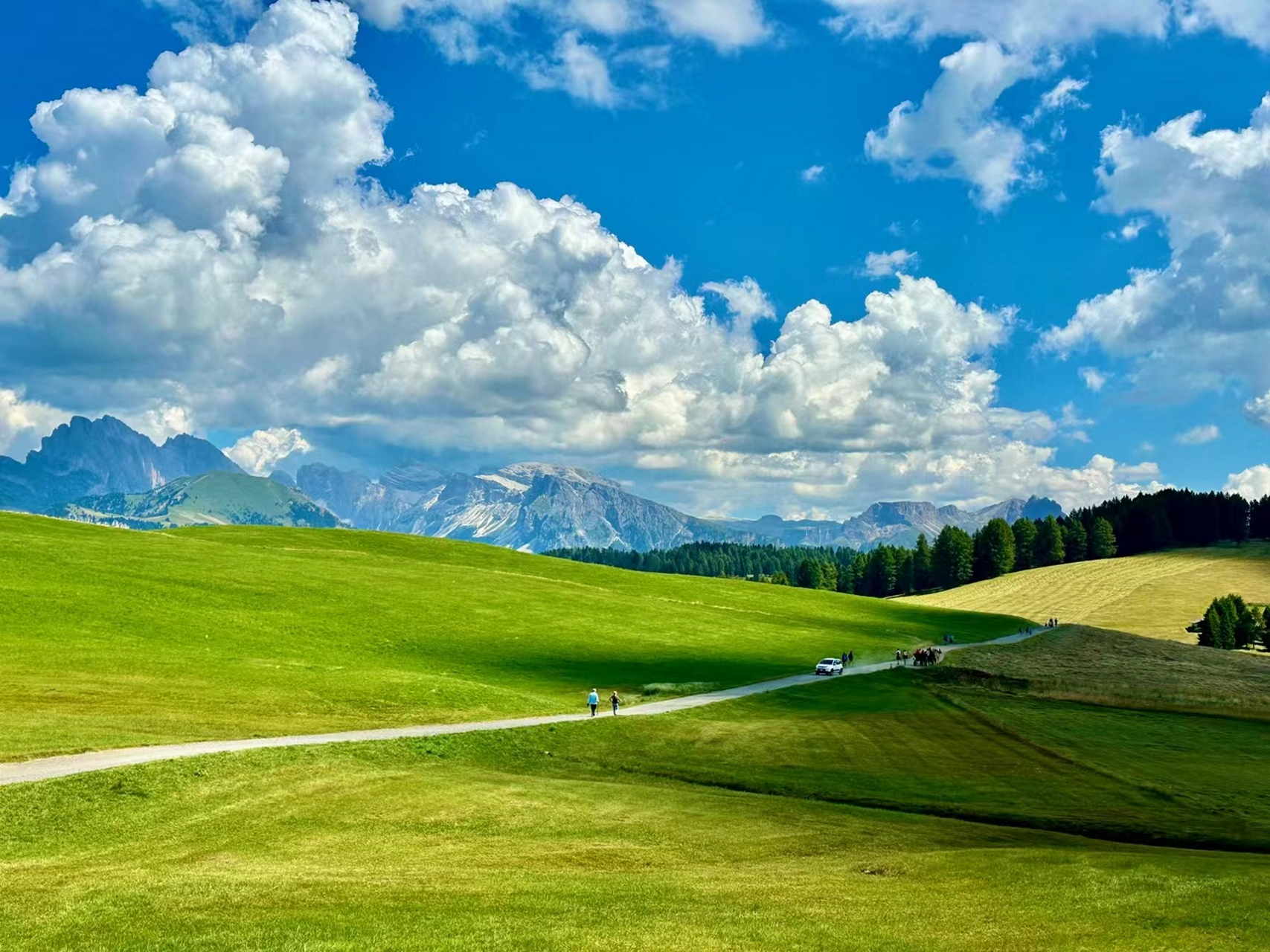 休斯高原感觉像浓缩的伊犁草原,感谢强大的祖国,有比这里更美的雪山