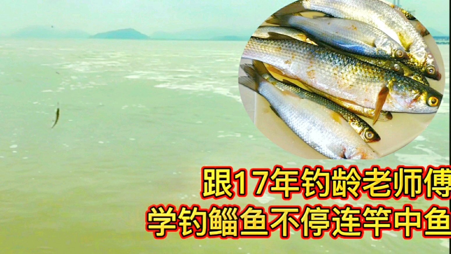 见过这样钓鲻鱼吗?钓龄17年老师傅教我连竿中鱼快感过瘾