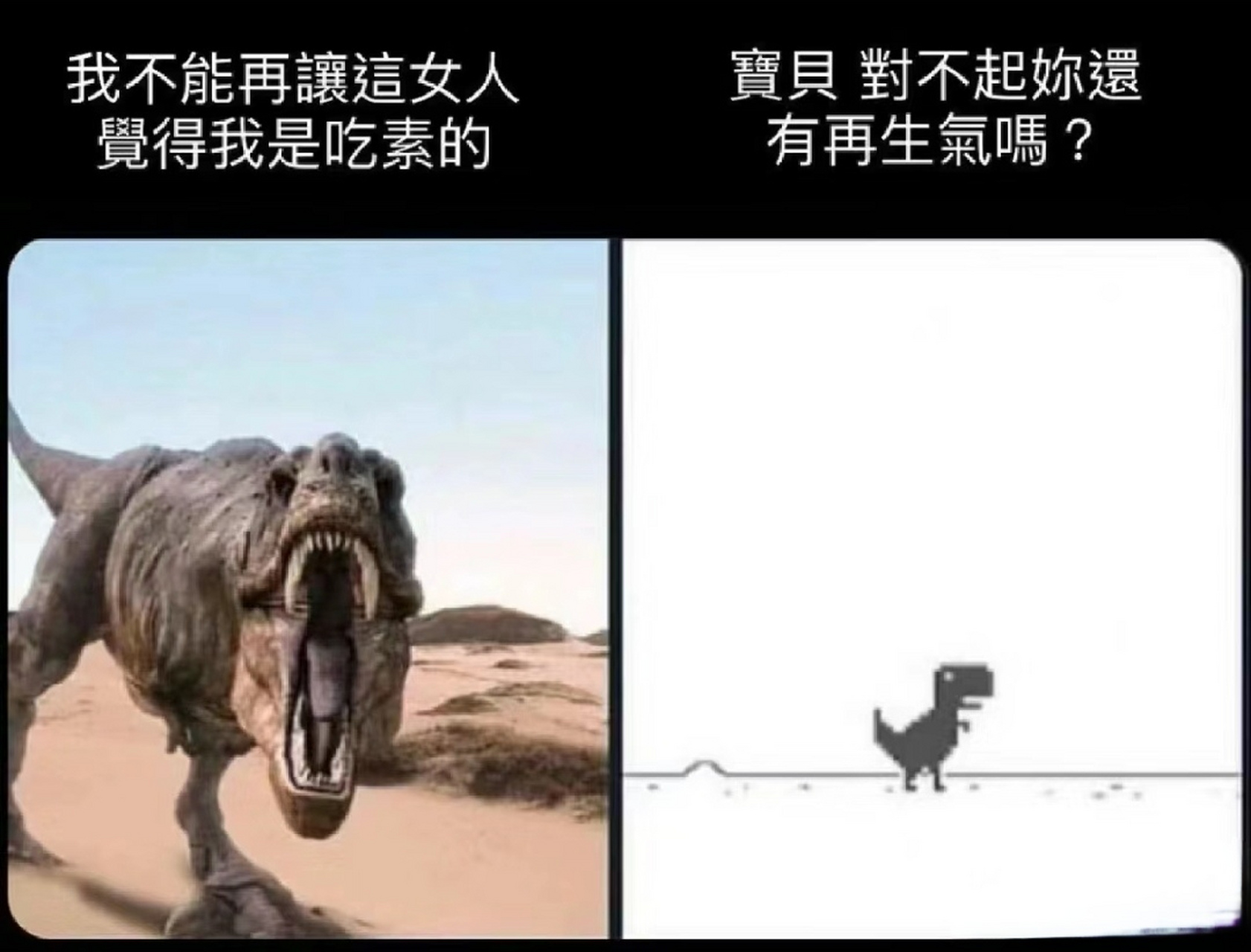 人间真实搞笑图图片