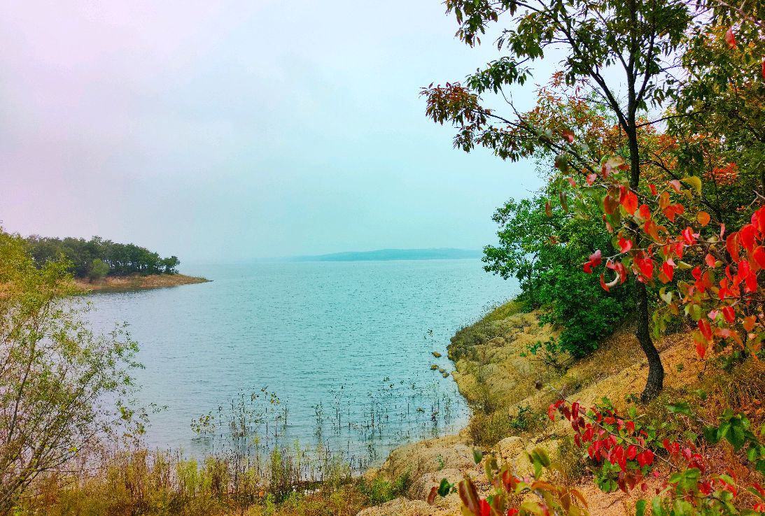 泌阳县铜山湖森林湿地公园掠影2