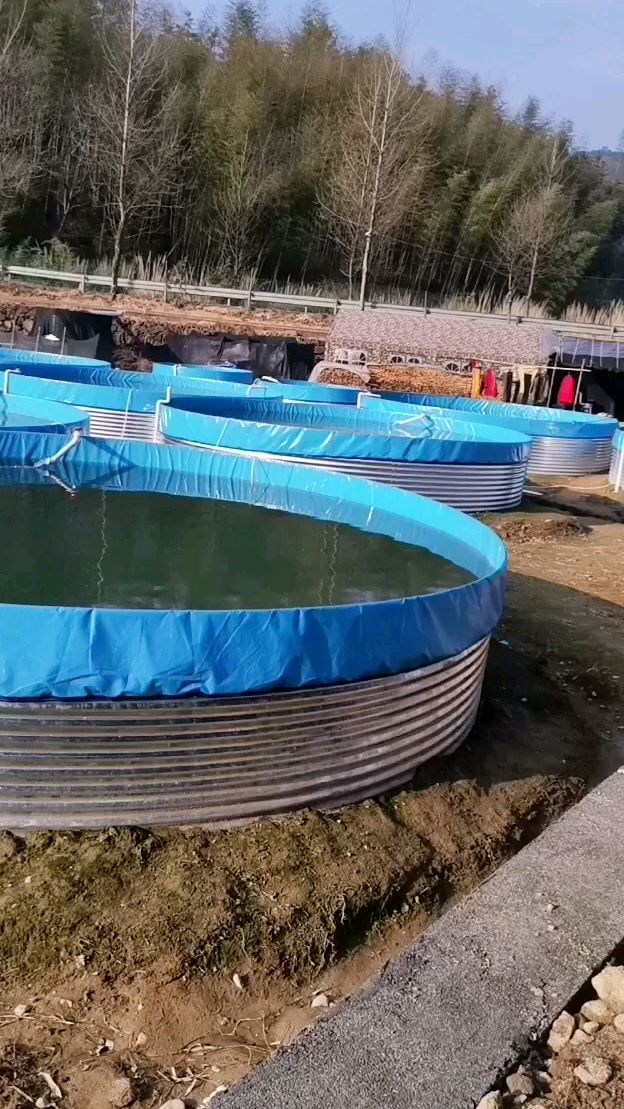 帆布水池高密度养殖一个池子小几千斤鱼
