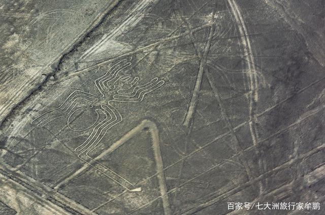 解密世界第八大奇迹,纳斯卡大地画到底是怎么回事