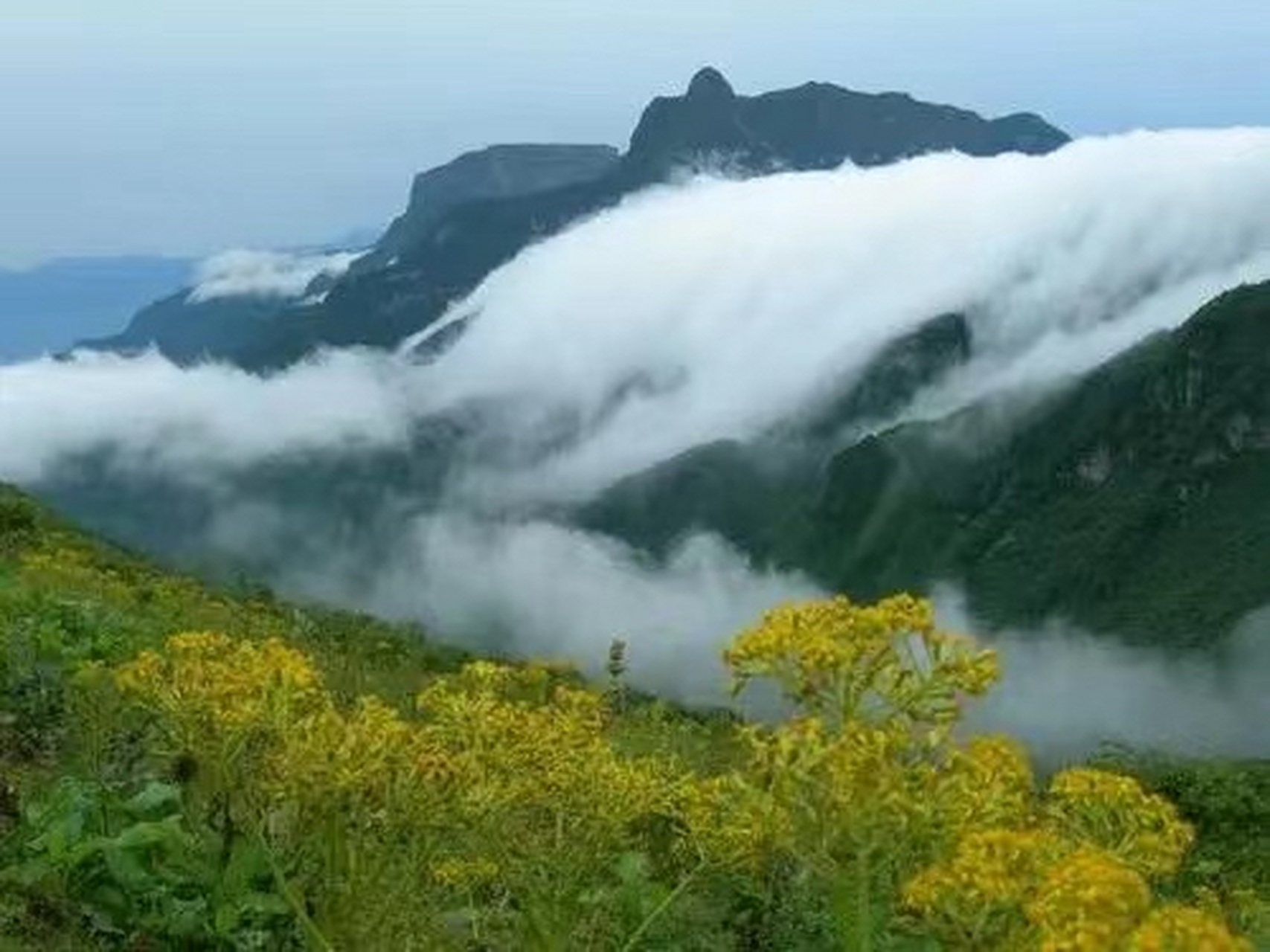在夏日,你一定要来一次四川乐山的"大瓦山国家湿地公园",来这里体验不