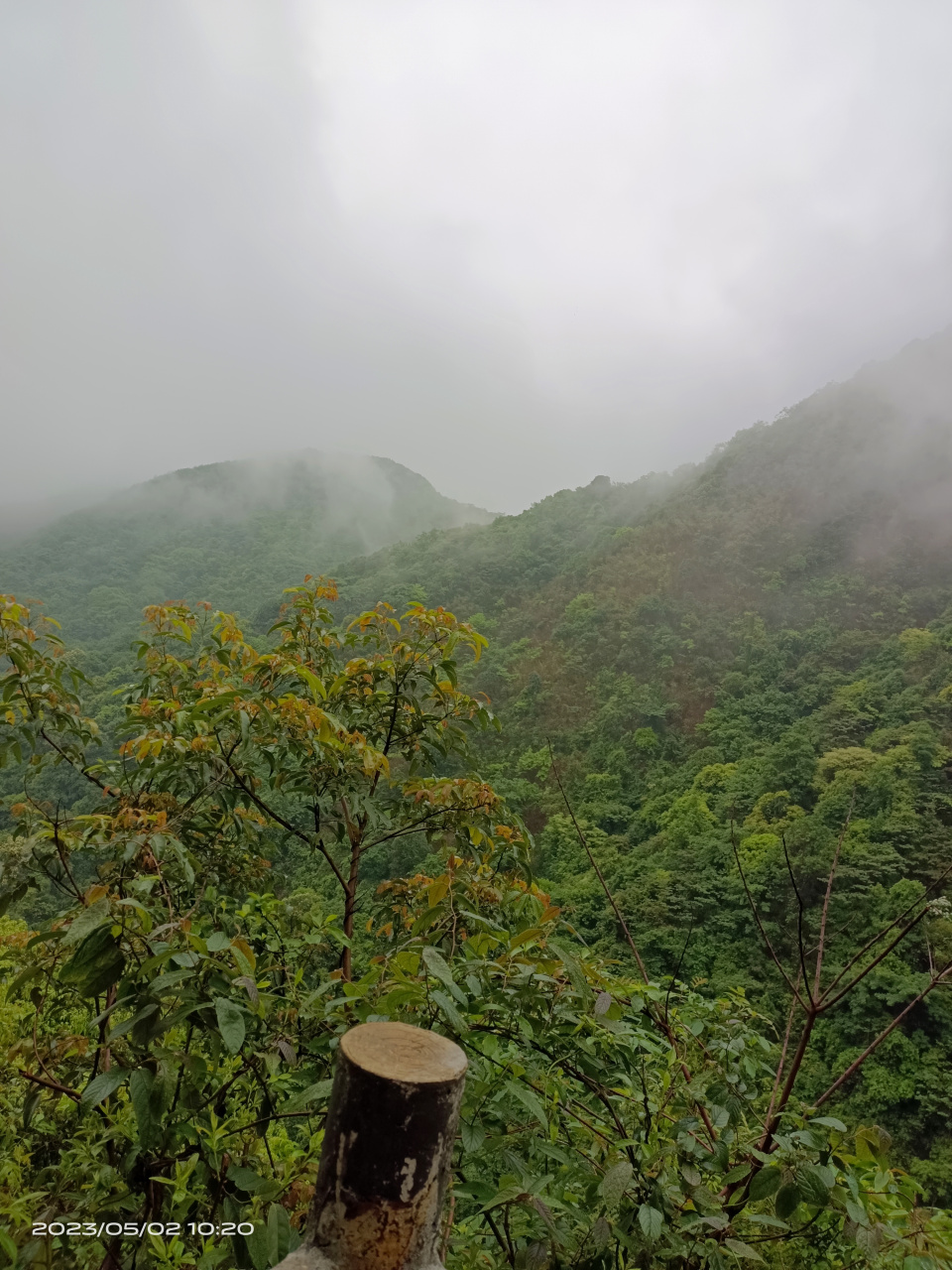 富川西岭森林公园