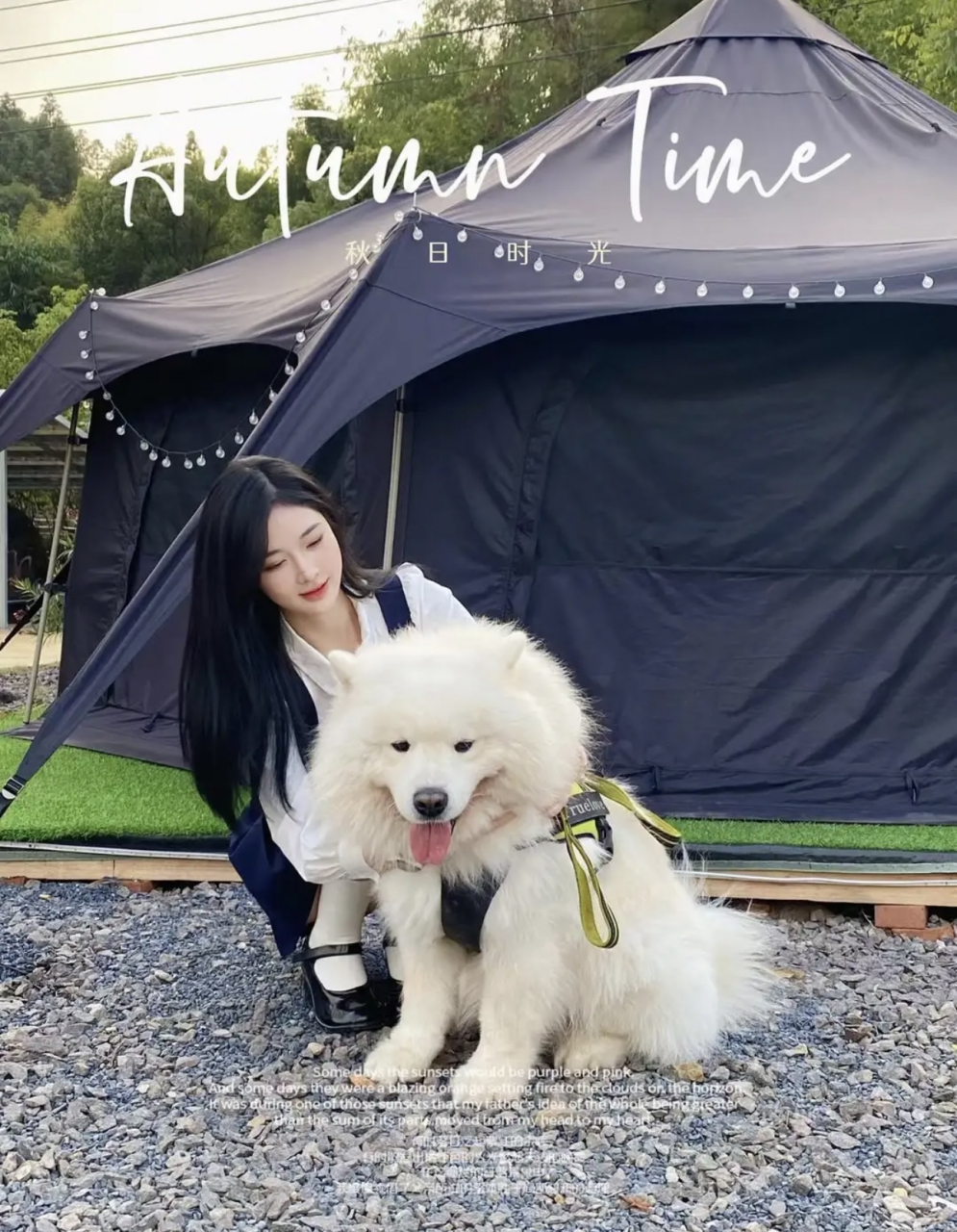 长发制服美女与她心爱的白色宠物狗狗98  日落尤其温柔,人间皆是