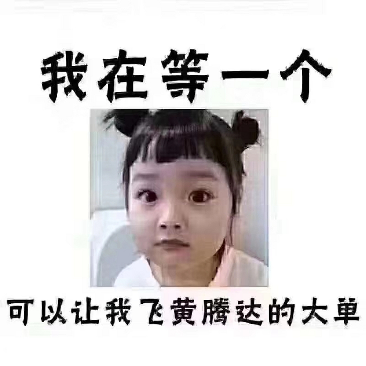 无聊无聊就发个动态证明我还在