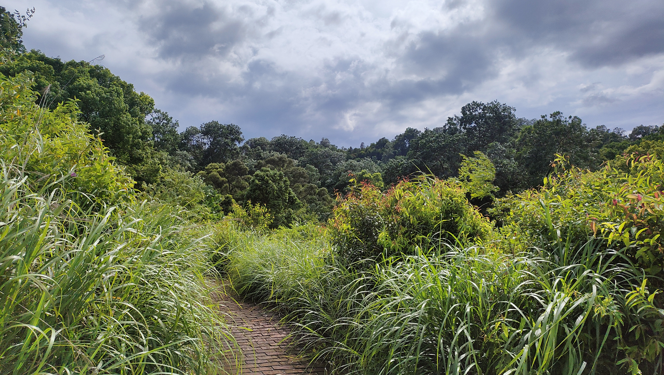漫步深圳园山风景区