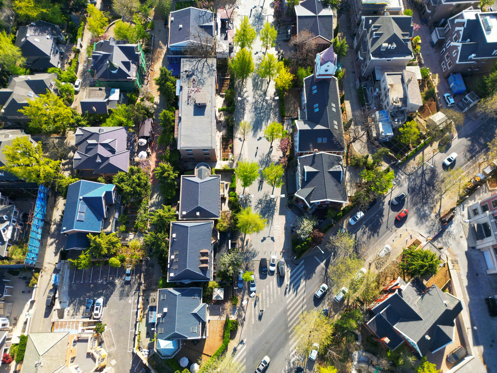 空中俯瞰大连南山旅游风情街,全是大别墅,好不好看,银杏树都绿了