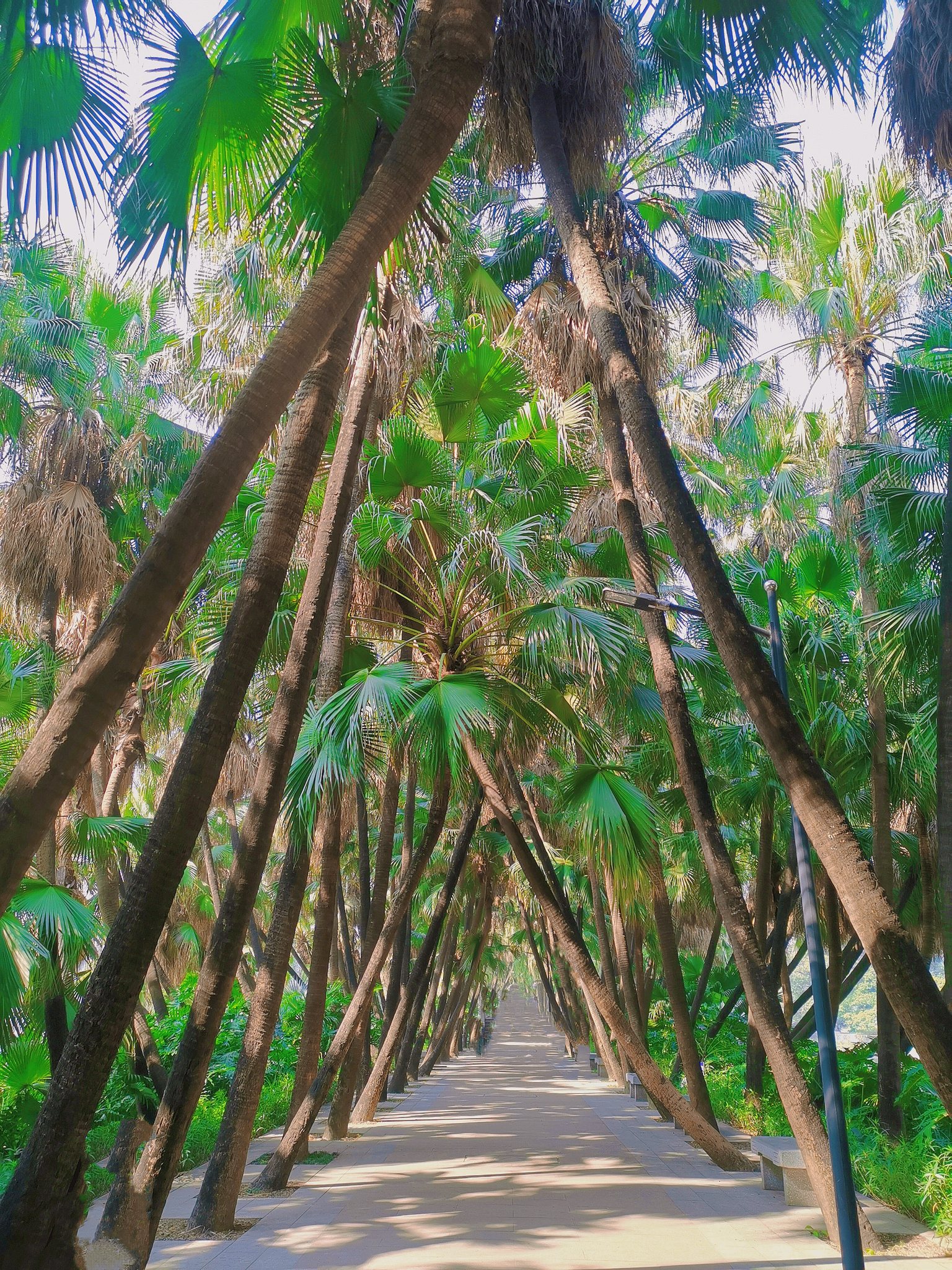 蓝天白云秒出度假风片