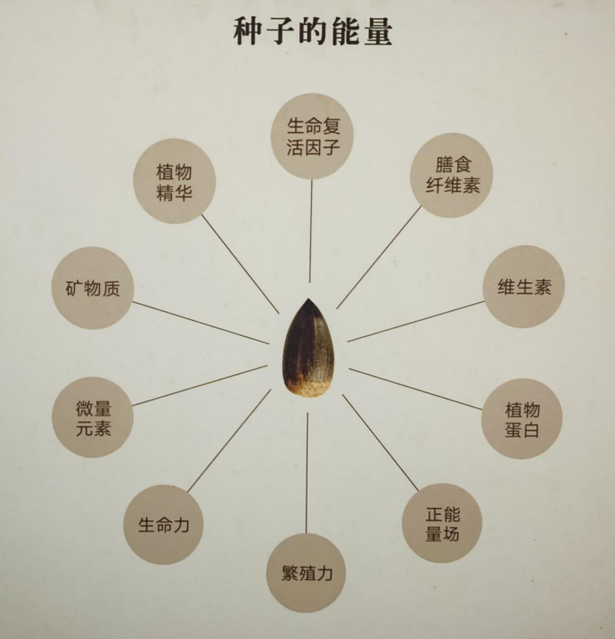 佛山种子博物馆升级为捌壹生活馆