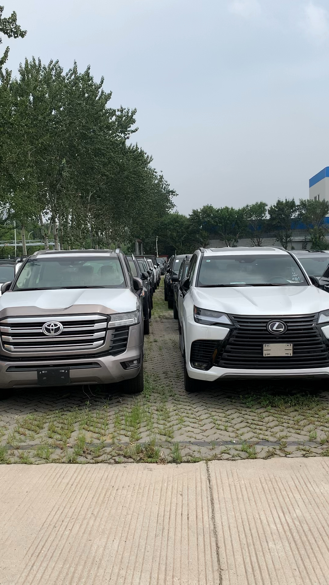 最新款兰德酷路泽lc300和雷克萨斯lx600港口现车实拍!-度小视