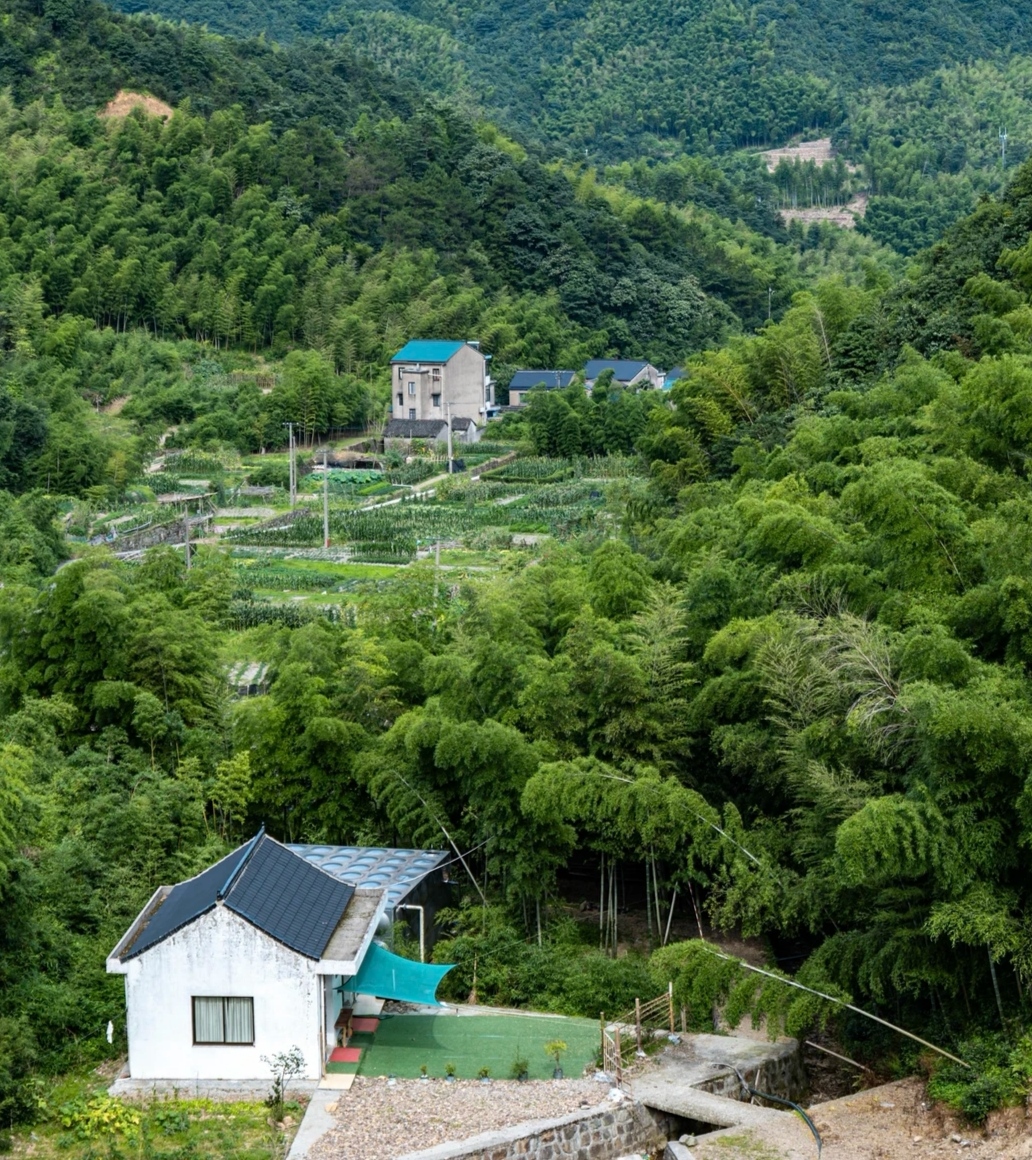 绍兴水库一览表图片