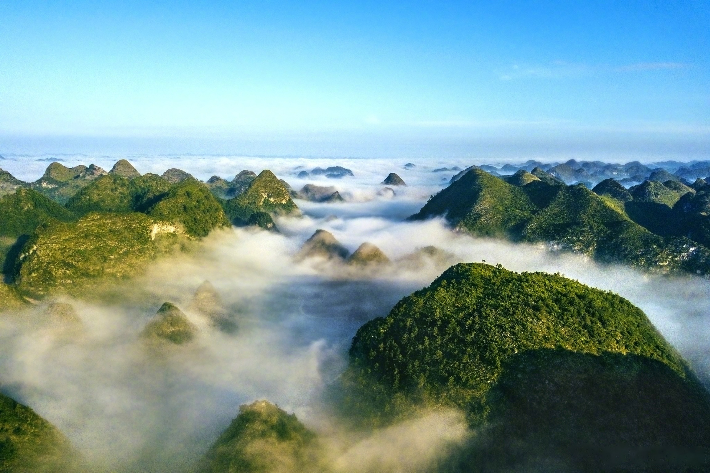 除汉奸,灭敌人,净化每个领域,每寸土地!