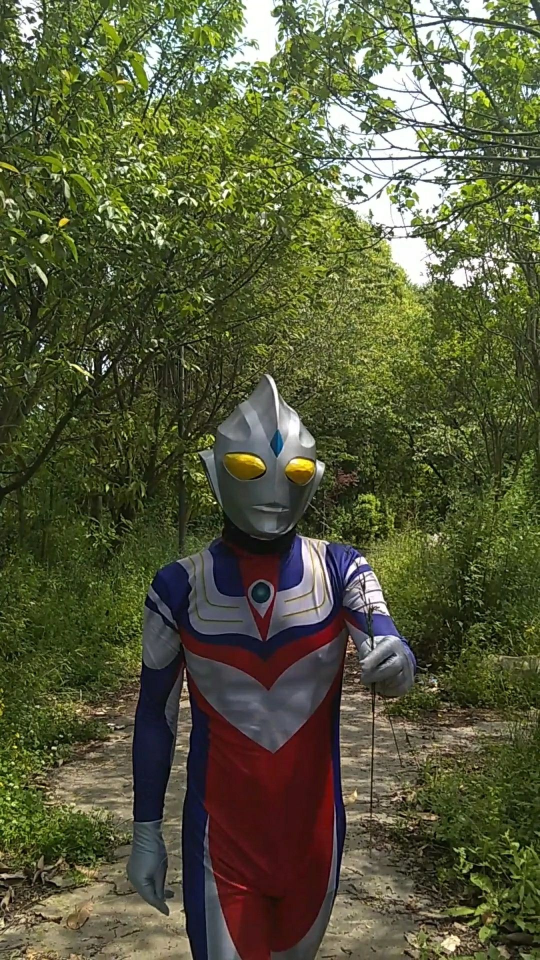 野生奥特曼第41集