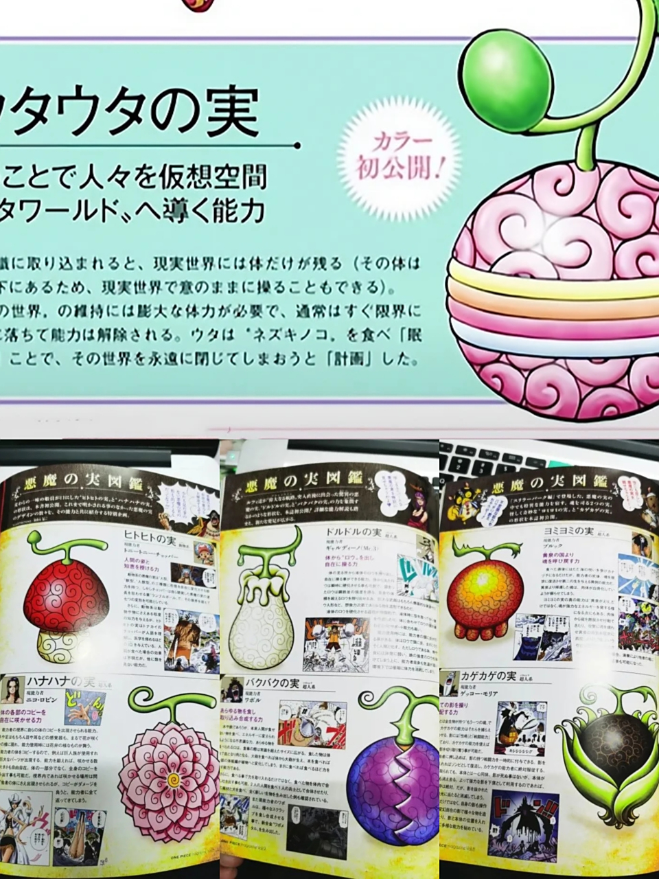 恶魔果实图鉴来袭!21颗未露面的"恶魔果实"公布,形状很诡异 #海贼王