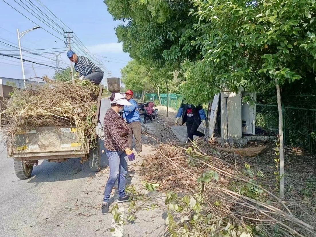 扬州槐泗酒甸图片