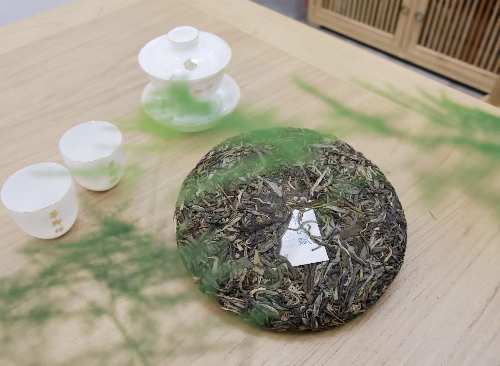 观山号——科学酝酿的价值古茶 #观山号#  #观山阅茶#  #让中国茶走向