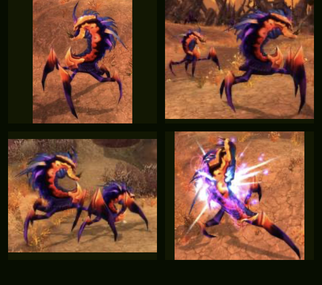 魔兽世界tbc猎人宝宝,会变色的掠食者,外观党福利