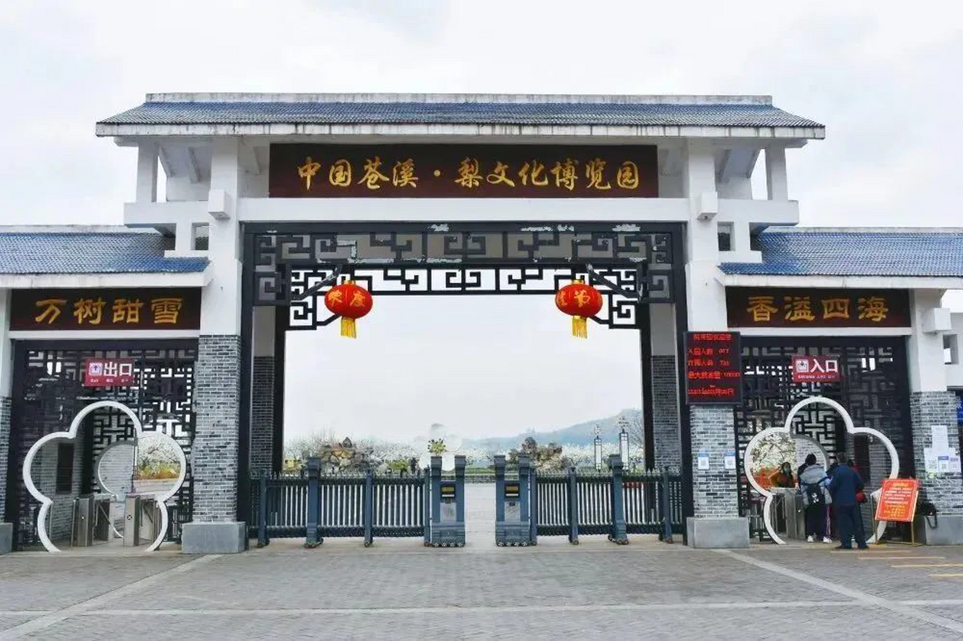 苍溪梨文化博览园,是国家aaaa级旅游胜地,这里集科技,品种,规模于一身