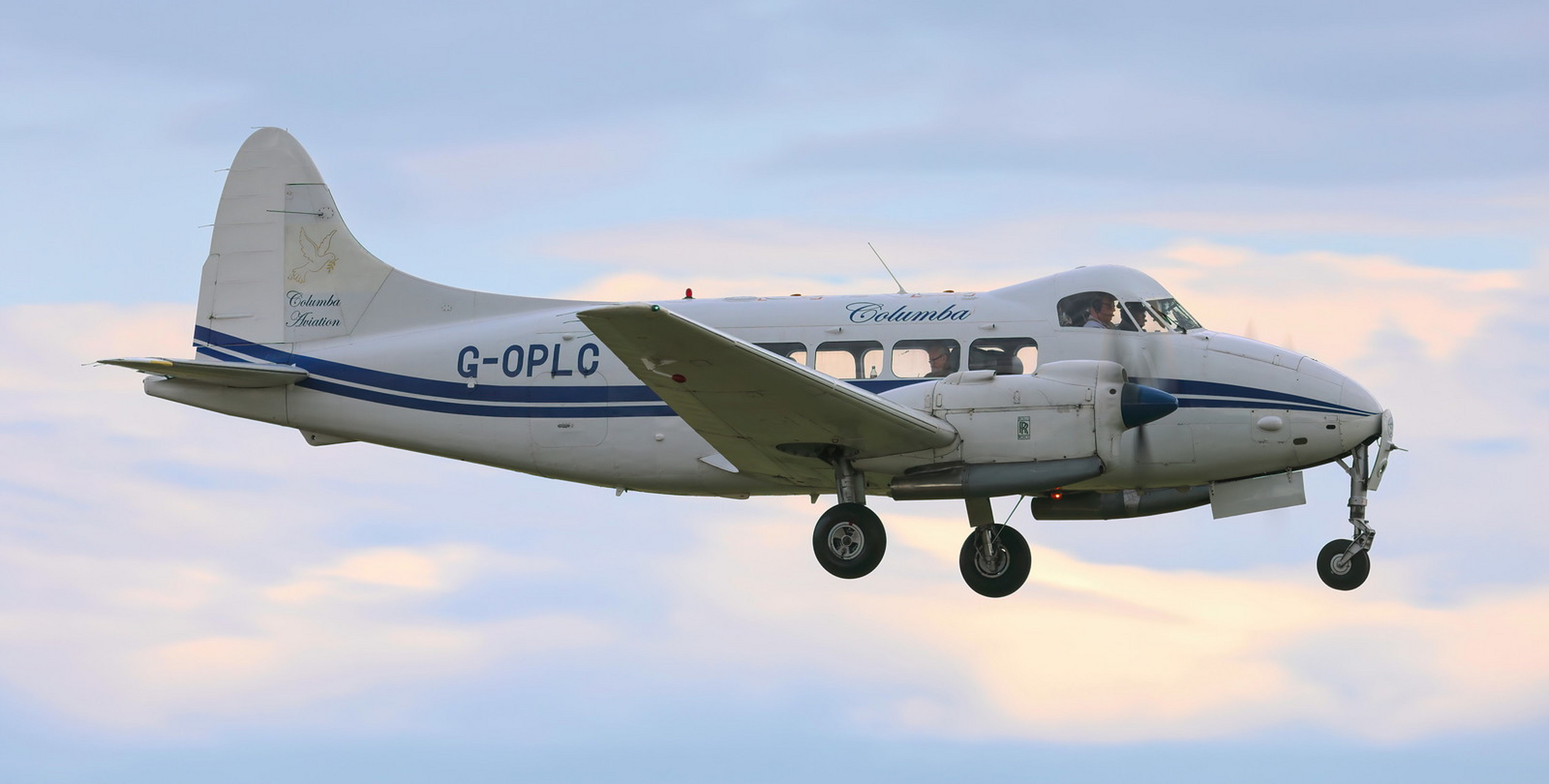 104鸽式运输机 在索伦特海峡机场航空摄影师拍到了优雅的鸽式客机.