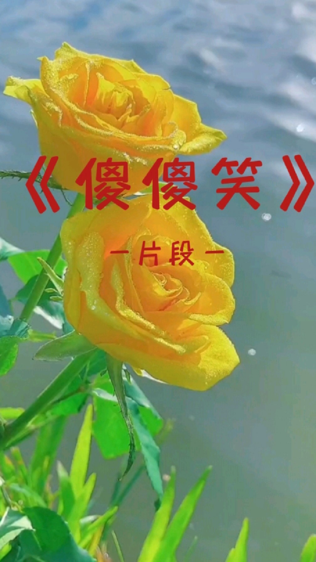 音乐欣赏:《傻傻笑》