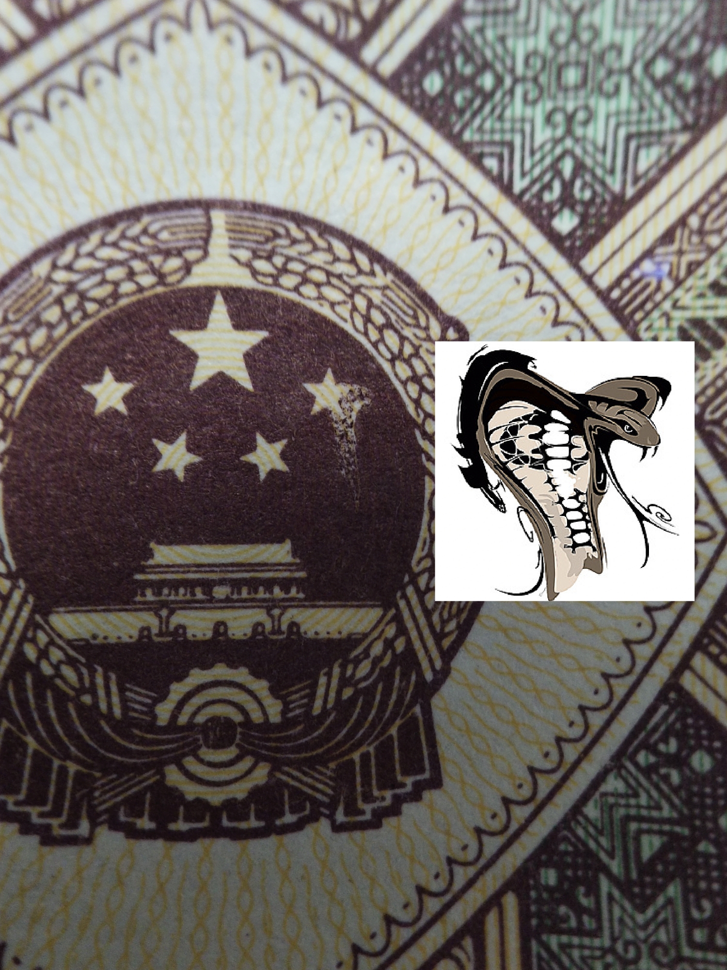 8001正红背红顶级国徽错版眼镜蛇