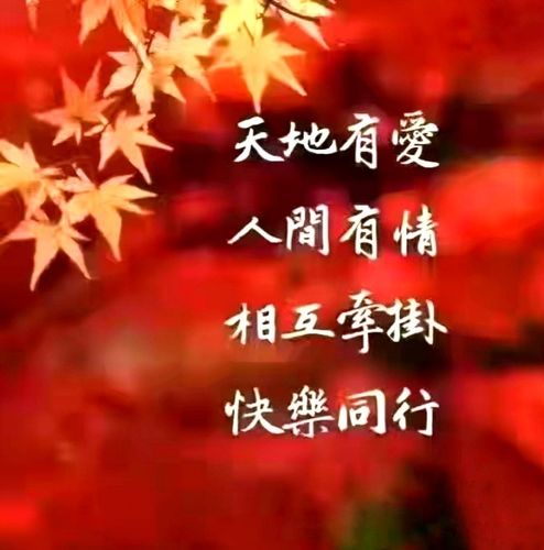 人间处处有真情