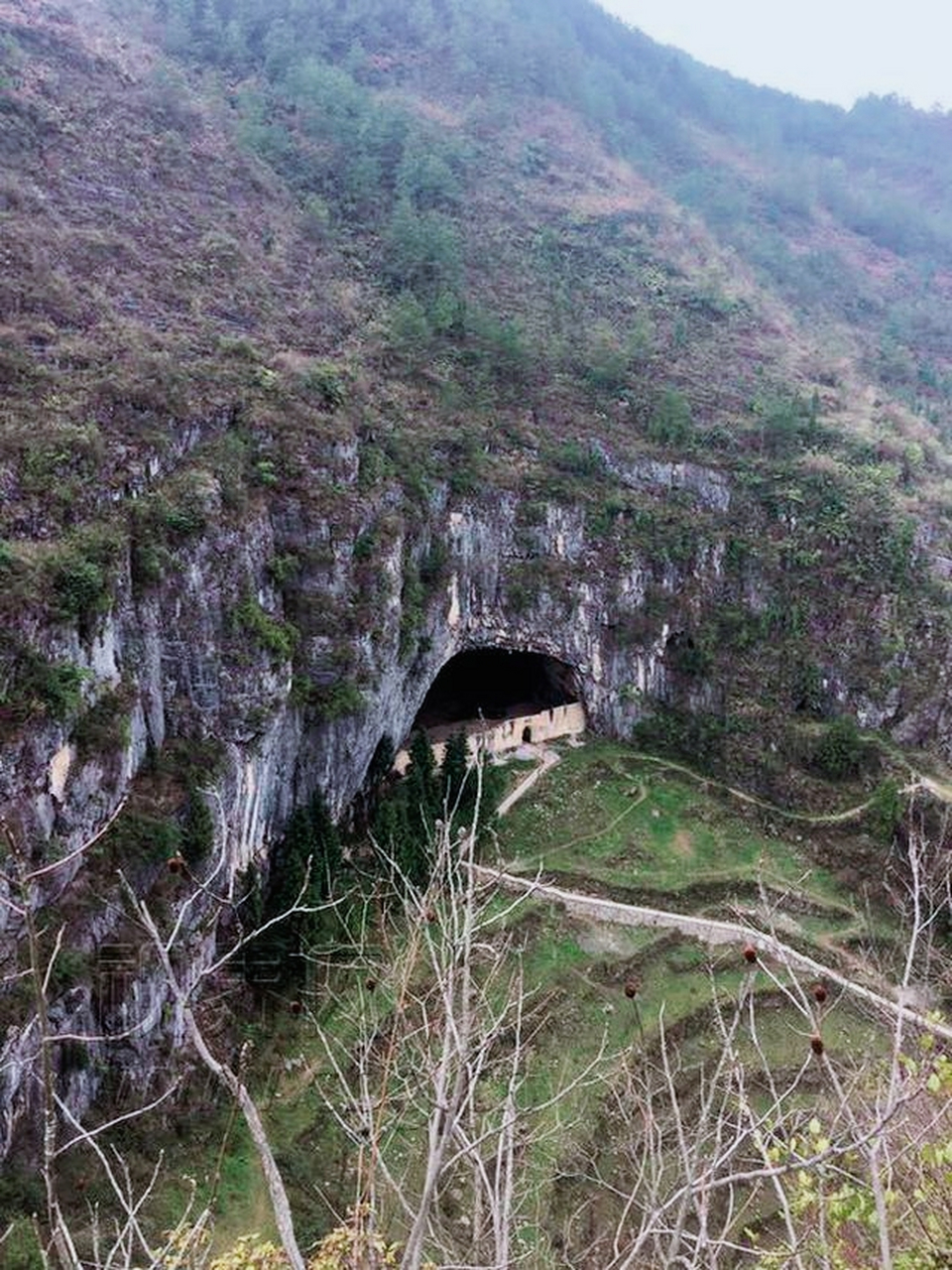 巫山猿人遗址图片