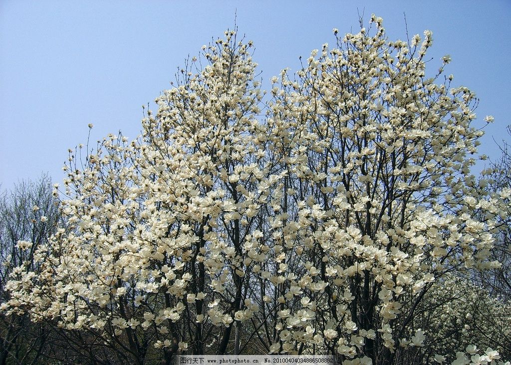 《踏青去》题记