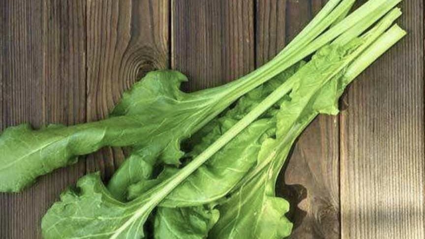 美味营养的根瘩菜