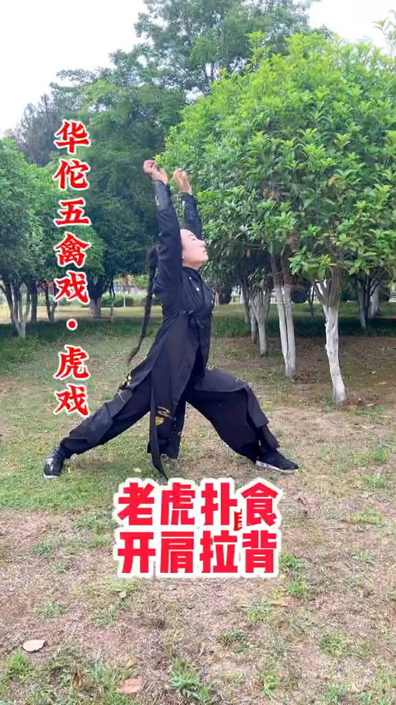 华佗五禽戏.虎戏.猛虎下山.势不可挡.