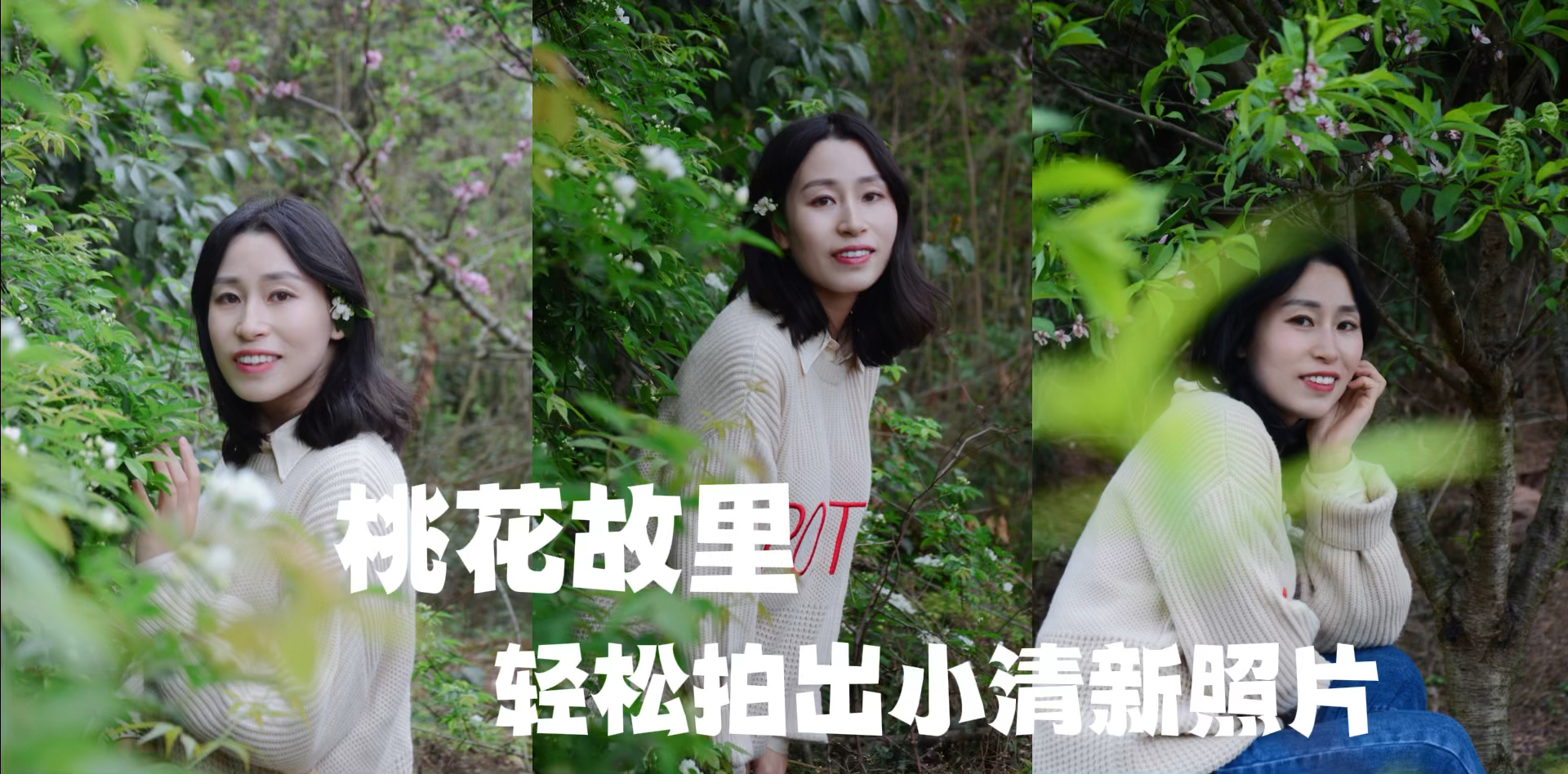 龙泉满山桃花和大片七里香轻松拍出小清新照片
