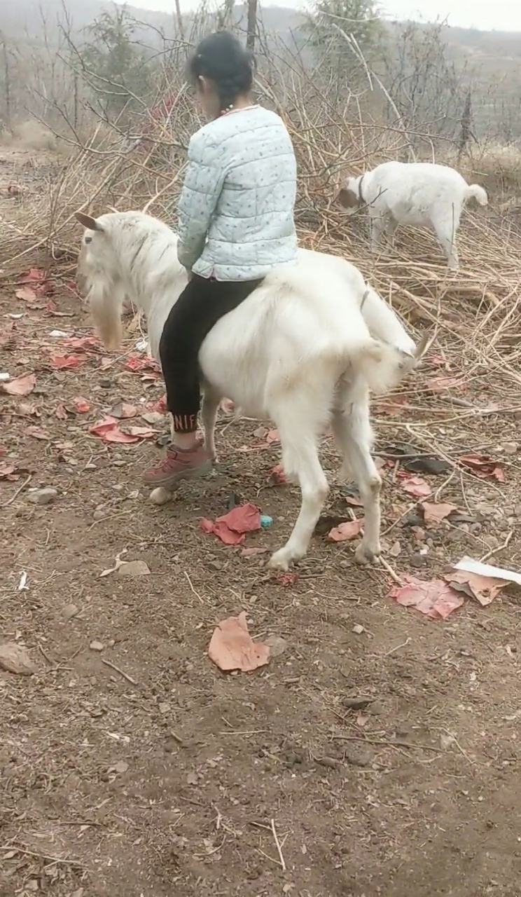 骑羊女人图片