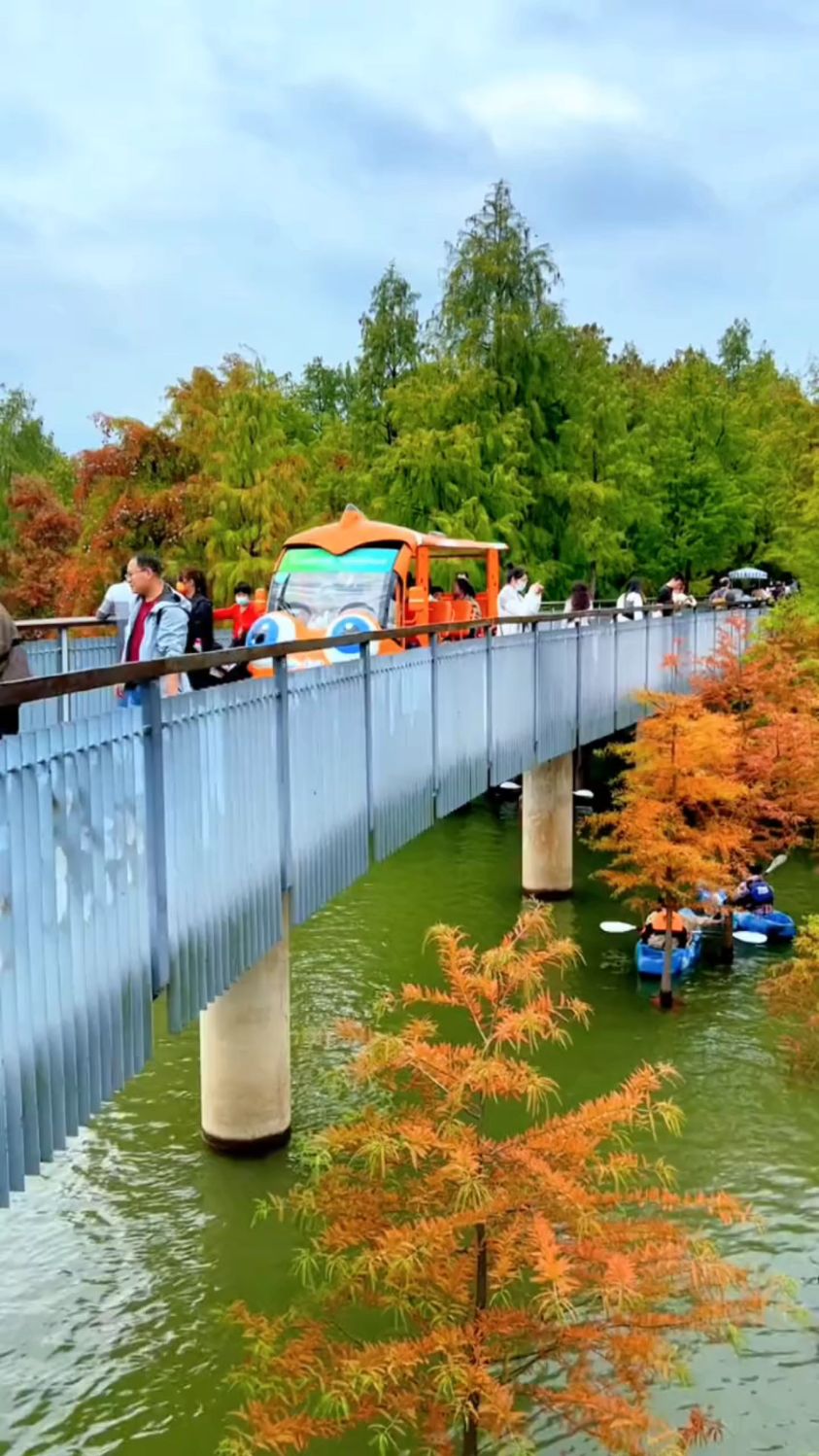 杭州:临安青山湖水上森林公园-度小视