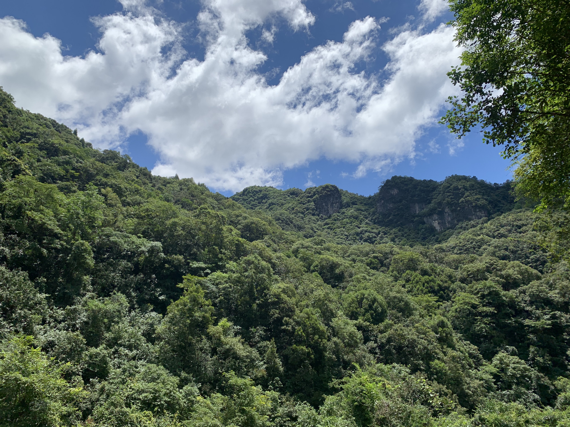 贵州旅游