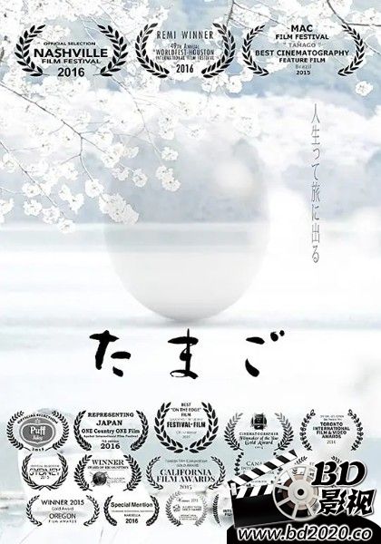 蛋