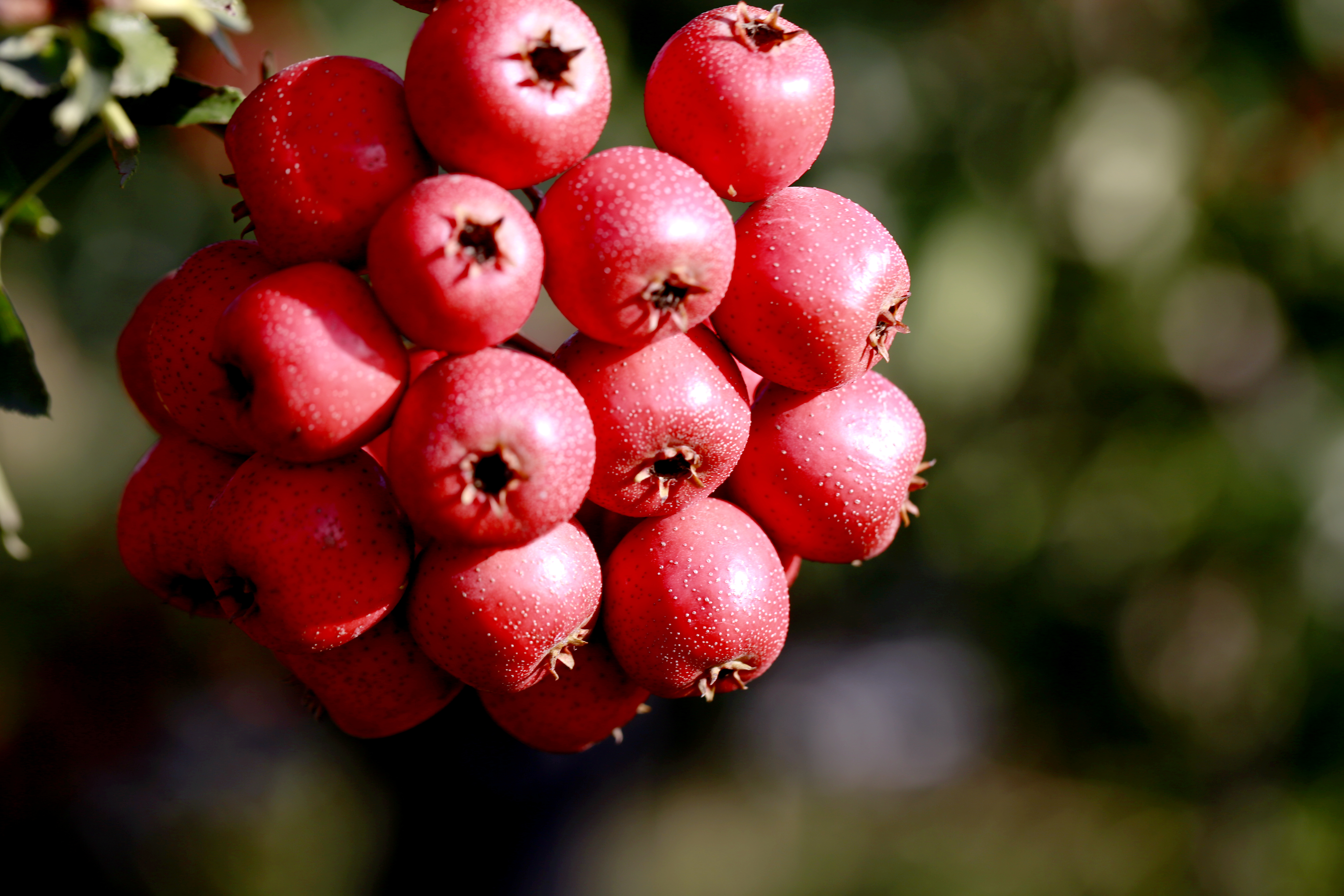 身体藏着两个降压开关,每天按一按.@麦向健康的动态