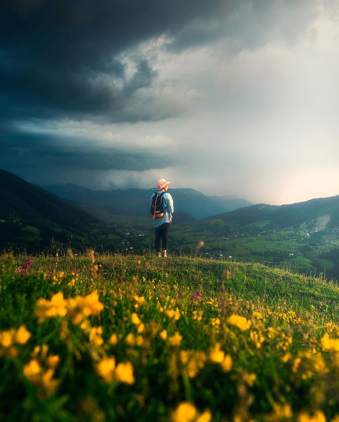 向内认知,向外行走