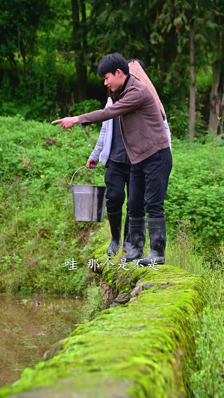 鲫鱼豆腐汤太香了东毛认为我加了牛奶在里面你们觉得我加了吗