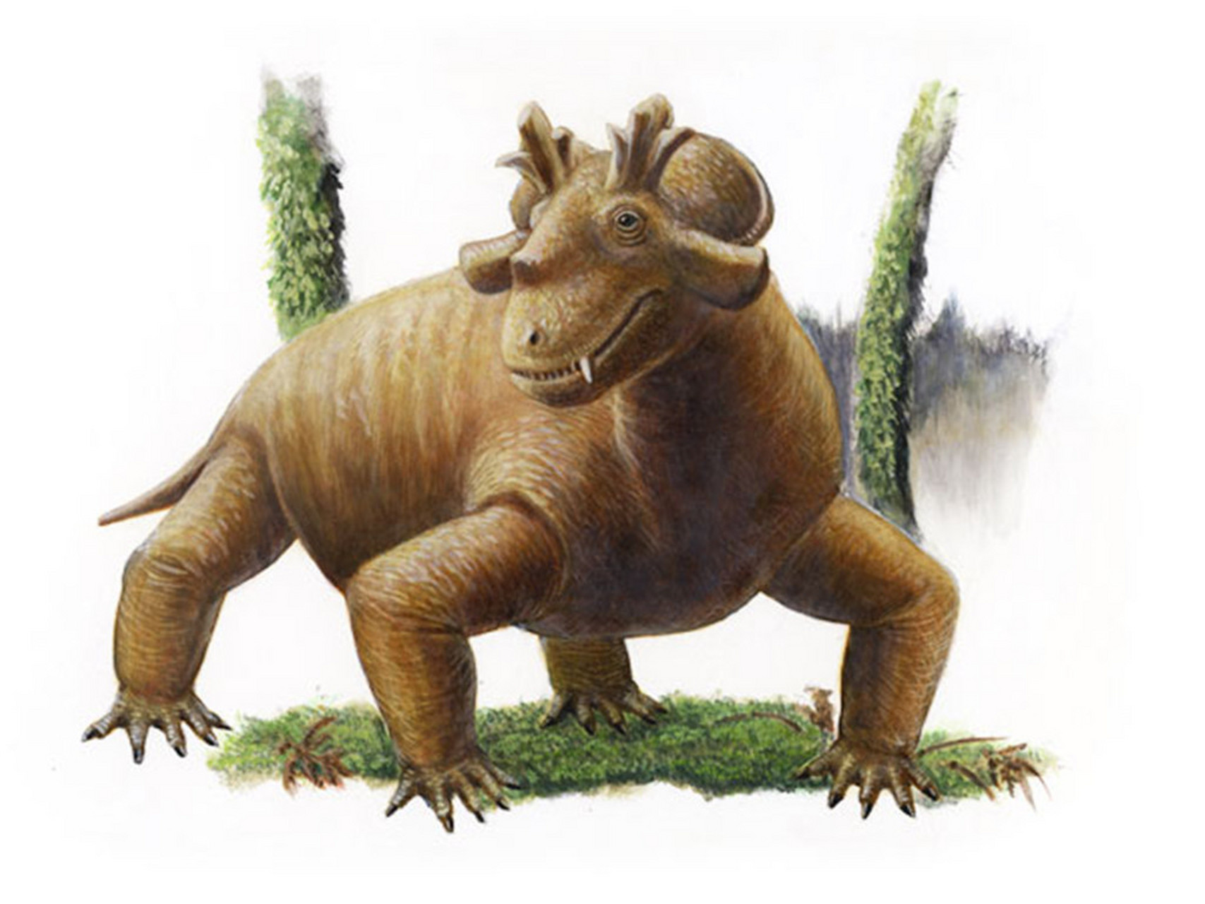 奇异冠鳄兽是古生代二叠纪时期活跃于俄罗斯大陆的一种合弓类动物