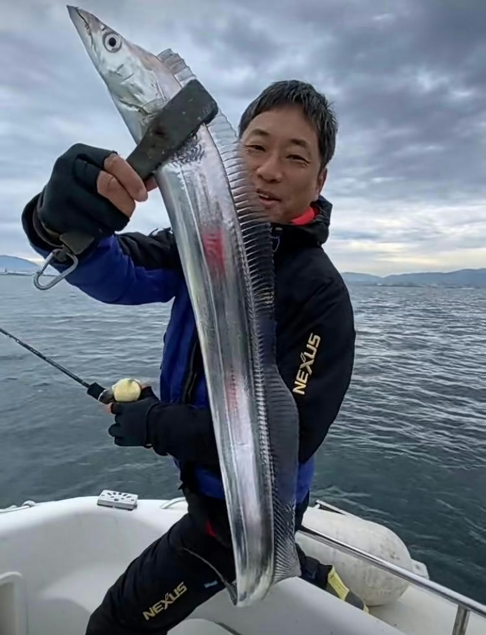 活带鱼真漂亮,闪闪发光